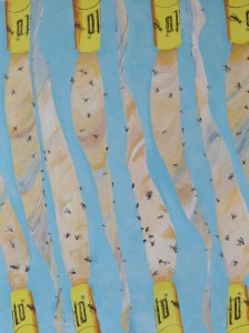 Fliegenfänger, Acryl, Lackstift, Tintenschreiber auf Leinwand, 56,5 x 40 cm, 2013